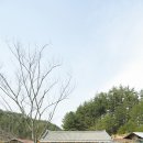 봄볕내리는날