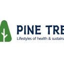 더 파인트리 이미지