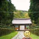 관음사 목조관음보살좌상 | [제주도 관음사] 거대 불상 돌모자는 누가 씌워줬을까? 아이와 함께한 제주 관음사 우영우 성지 순례