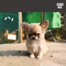 유행 이미지