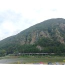 천내 Daum카페