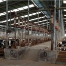 육우마을안성사업단 이미지