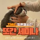 [TMC세미나] 다시 찾은 TMC 스파전문 고양이미용 세미나 후기!