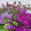 초원가든 이미지