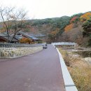 은수상회 이미지