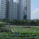 문산선유주공아파트 이미지