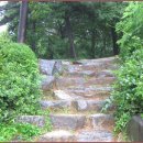 정발산공원 산책로 입구 이미지