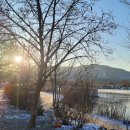 숲속의안뜰 이미지