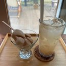 풍산개마을 | 경기도 안성 대형카페 풍산개마을 풍사니랑 피크닉 라면