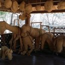 방화근린공원 이미지