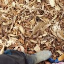 산덕농장 이미지