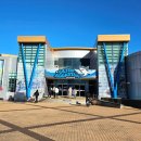 ㈜경포아쿠아리움 이미지