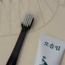 고운덴탈 | 여행용치약 30G 칫솔추천 오솔림 미니 덴탈케어 3종 솔직후기