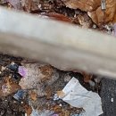 신사지구대 이미지