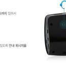 알바트로스 라이브 이미지