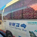 달래홀릭 | 유청비누 클래스