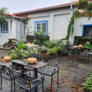 한치농장 이미지