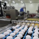 국영축산 이미지