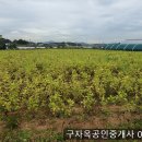 접근성 좋은 불은면 신현리758평,4억9200만원,강화도부동산,불은면부동산 이미지