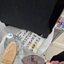 리플리 증후군 아닙니다.