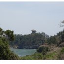 진도1호 이미지