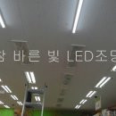 참사랑할인마트 이미지
