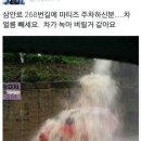 삼안로 이미지