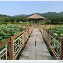 동학농민혁명 유적지 이미지