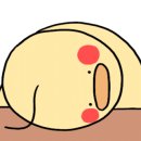 카페3.31