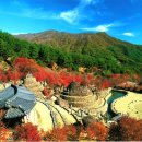 삼성궁 이미지