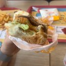 JNS 유도 멀티짐 이미지