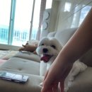 행집욕부 : 행복에 집중하기, 욕심 부리지 않기