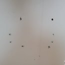 권곡동 문화로 | 아산도배 권곡동 한성하우시스 21평형 실크도배후기