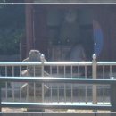 원지동석불입상및석탑 이미지