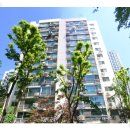 서초구립 서초성모어린이집 이미지