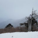피제 - 상주시 상산로 304 | 피제