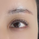 포유래쉬