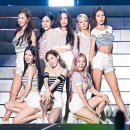 보니 이미지