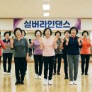 실버라인댄스(신규) 이미지