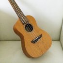 초등 우쿨렐레 이미지