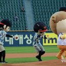 마루 이미지