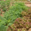 제현농장 이미지