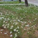 남양행정사 이미지