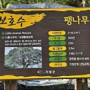 전망바위 이미지