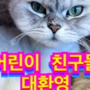모여봐요 고양이카페 이미지