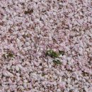 서ㆍ호근동 이미지