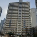 서울쎈정형외과의원 이미지