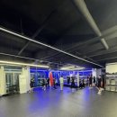 제일복싱체육관 이미지