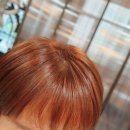 나드림 이미지