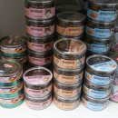 메디펫우리동물병원 이미지